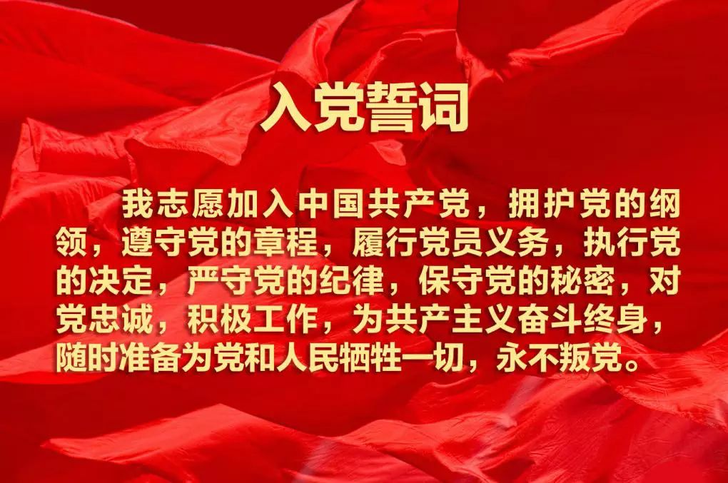 入党誓词更新，信仰、责任与担当的庄严承诺