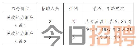 同仁县统计局最新招聘信息公示